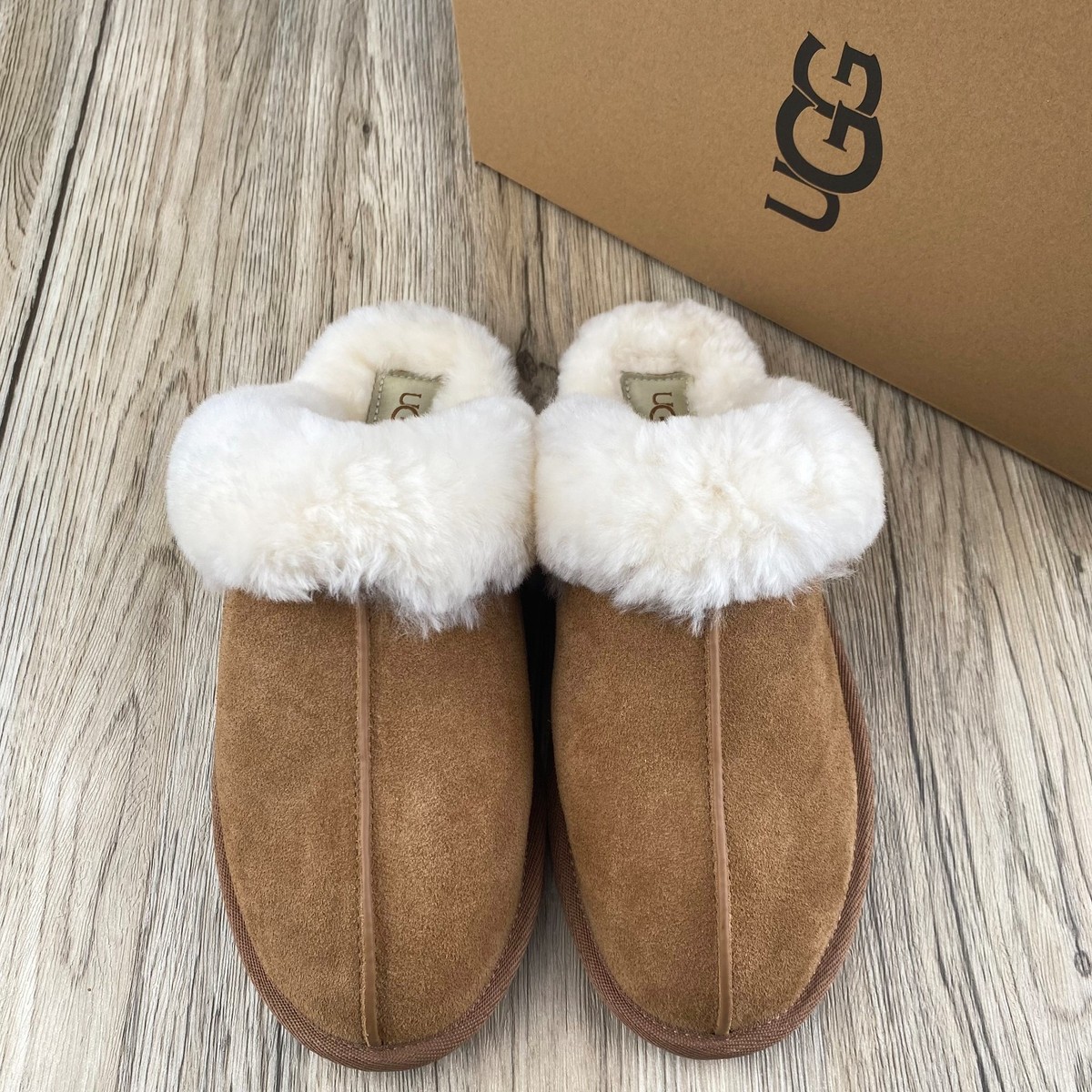 UGG Scuffette II US6 JP23センチ UGG Women's Scuffette II Chestnut UGG Suede Upper Wool Slippers