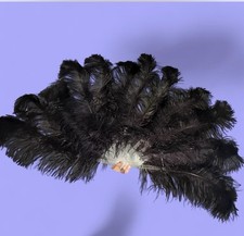 Fancy Feather Burlesque Fans