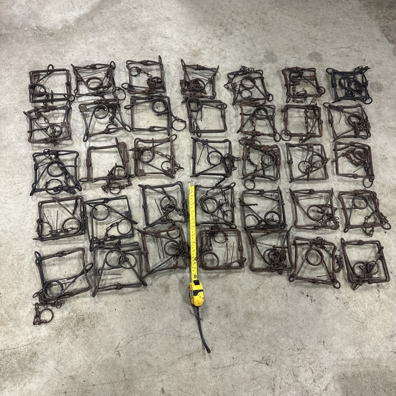 Lot Of 42 Victor #110 Conibear/ Body grip Traps