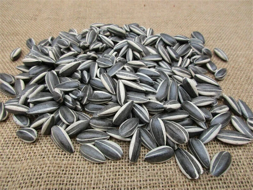 US! 100/200pcs Art Ai Weiwei Yixing Porcelain Sunflower Seeds Decoration Collect - Picture 3 of 14
