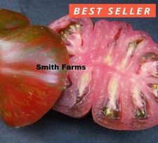 50 Seeds Extensive Tomato Vegetable Garden Planting Tomatoes