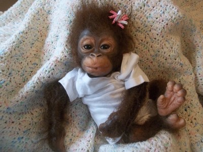 umi monkey doll for sale