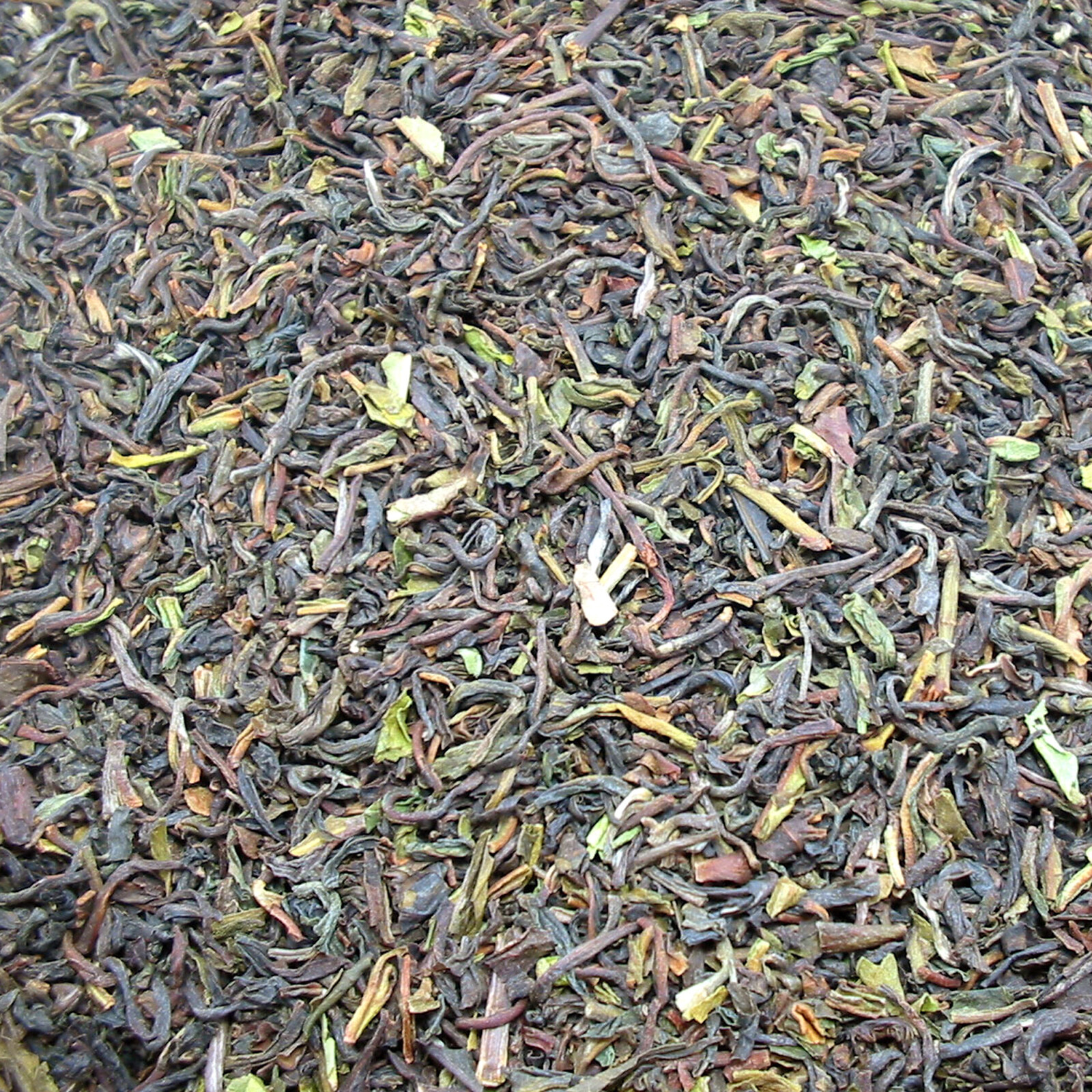 Tee Darjeeling FOP first flush / 5000 g Box Sparpreis