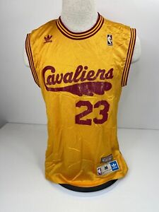 lebron james cavaliers hardwood classic jersey