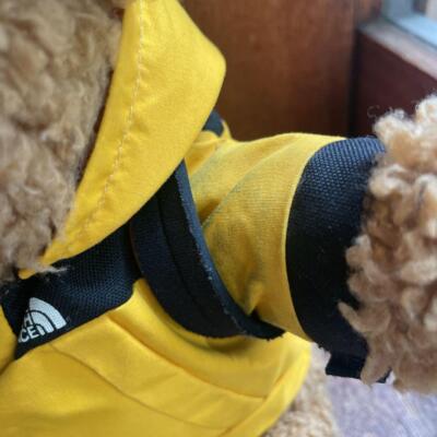 The North Face Original Teddy Bear Very Rare Limited Item