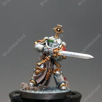 Warhammer 40K Primaris Company Champion Space Marines ProPainted
