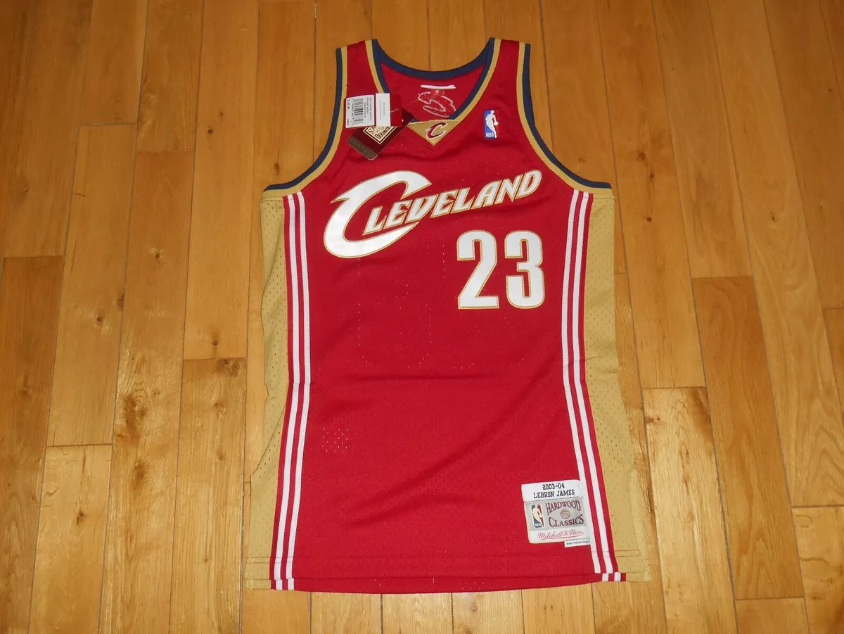 Mitchell & Ness NBA_ Swingman Jersey Cavaliers 03 Lebron James