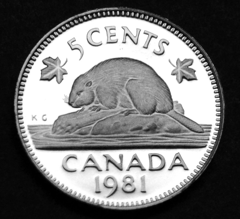 1981 5¢ uncirculated proof coin - fantastic, low mintage