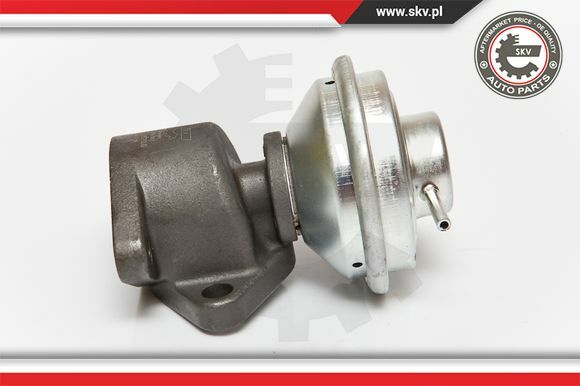 Esen SKV Agr-Ventil Pneumatisch FüR Ford Transit Pritsche/Fahrgestell 14SKV051-image