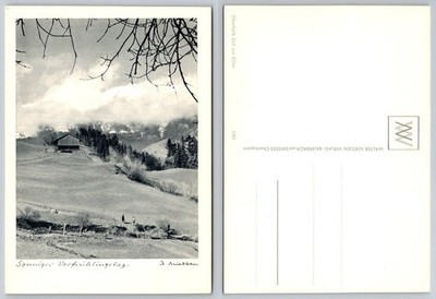 Continental Zell am Ziller Tyrol Austria Mountain View Walter Niessen Postcard