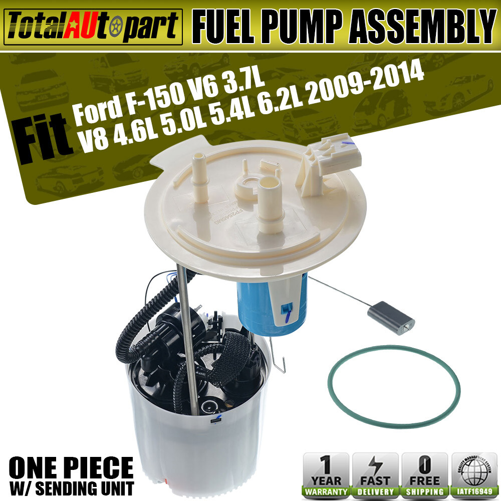 Bomba De Gasolina Nueva Para Ford F-150 Año 2009 Y 2010 5.4l | Envío gratis