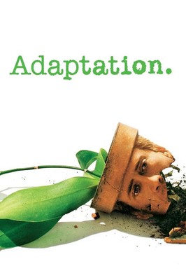 Adaptation. (DVD, Wide, 2002, Nicolas Cage) *DISC ONLY* NO CASE NO TRACKING