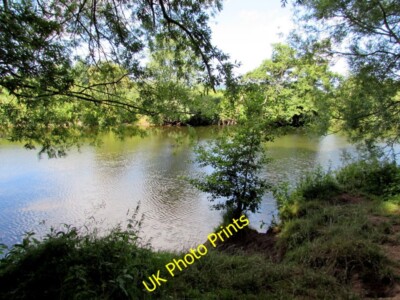 Photo 6x4 Dogs may swim from here, River Usk, Clytha Estate Aberffrwd/SO c2015