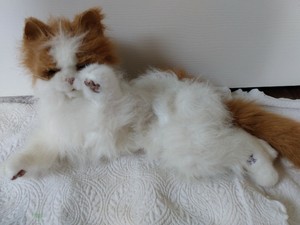 furreal friends lulu