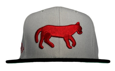 Mitchell & Ness MLB Detroit Tigers Away 1901 to 1902 Team Logo Snapback Hat, New