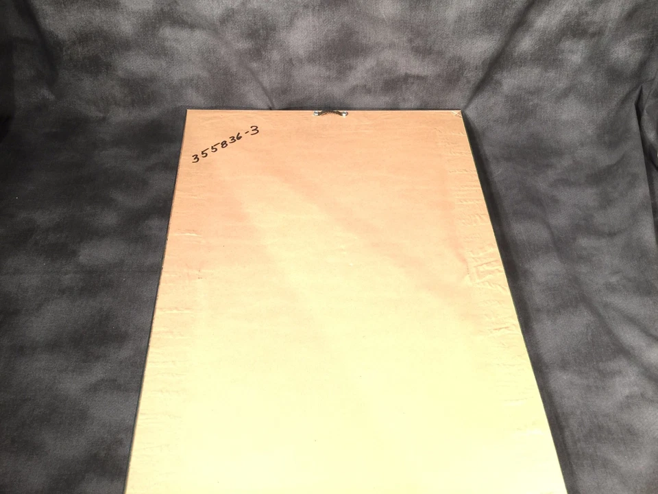 ANTIGUO ARCA DE NOÉ ESPEJO ESTAMPADO ENMARCADO COLGANTE DE PARED DECORACIÓN DEL HOGAR BIBLIA ORO VERDE Foto 4 de 4