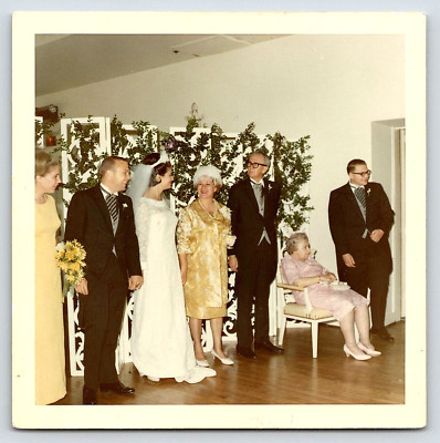 Vintage Photo Old Antique Picture Family Wedding Bride Ladies Dresses Groom Man