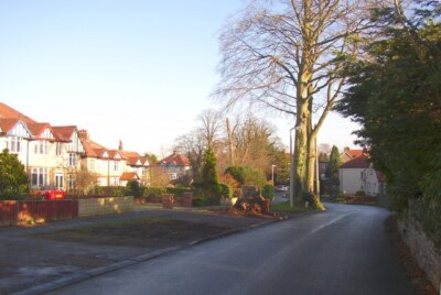 Foto 6x4 Baumstumpf Pfauengasse Heste Ufer Ein großer Baum wurde um 2007