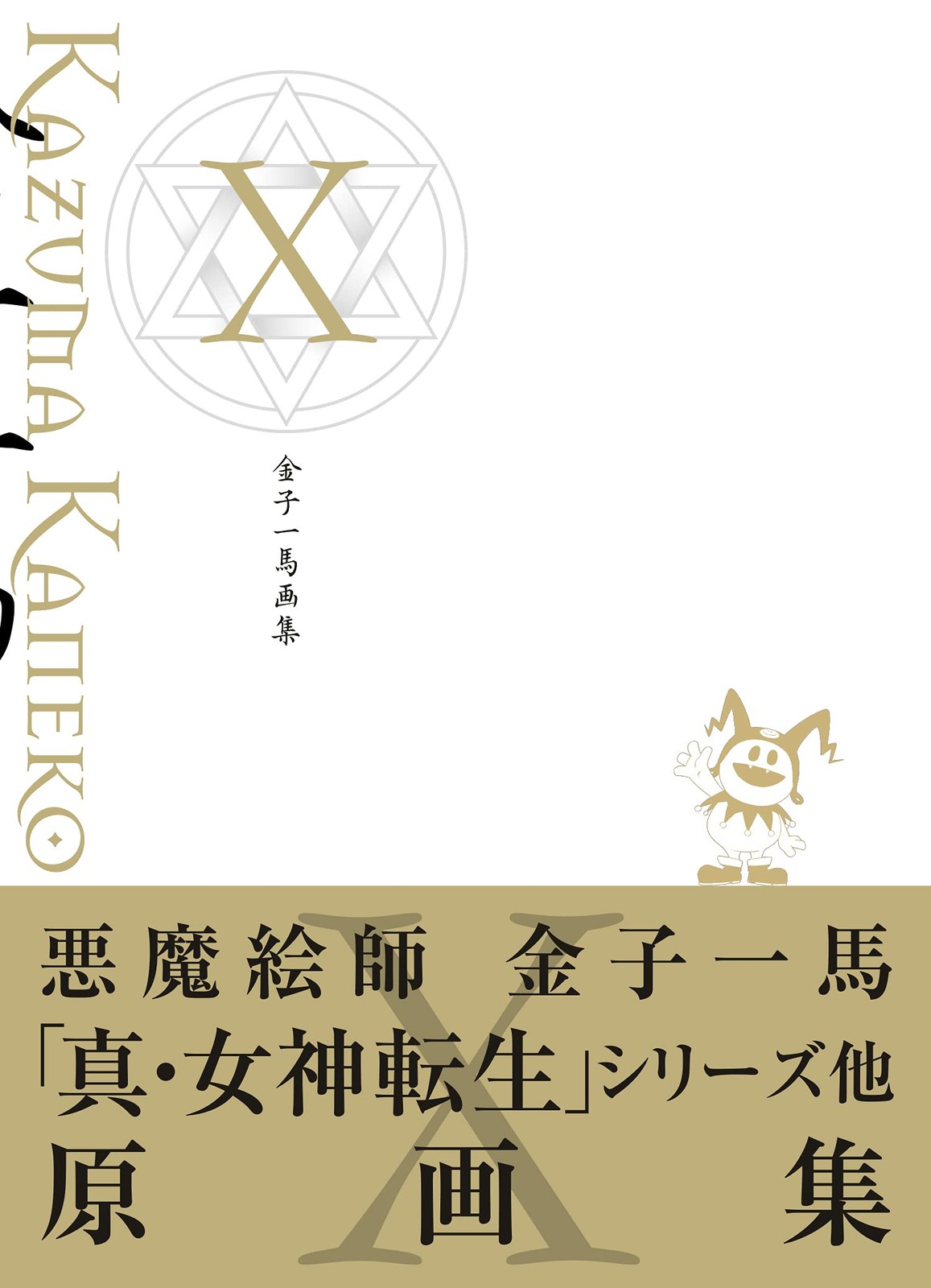 Kaneko Kazuma Art Collection X