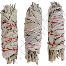 CALIFORNIA WHITE - Sage Smudge Stick - Medium 6" Bundle of 15 
