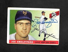 Joe Amalfitano