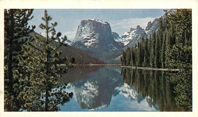 Square Top Mountain Bridger National Forest Wyoming WY Postcard