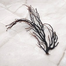 Rough Black Sea Fan Coral Dried Branches 1 fan approx. 4 inches