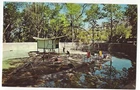 MONKEY ISLAND, Hogle Zoo, Salt Lake City Utah, c1960's Unused Postcard