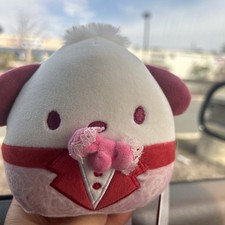 SQUISHMALLOWS Sanrio Hello Kitty  Friends Pochacco Valentine's Plush 8  NEW