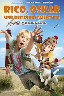 Rico, Oskar und der Diebstahlstein von Neele Leana V... | DVD | Zustand sehr gut
