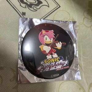 Sonic Symphony | eBay