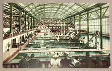 Postcard San Francisco California Sutro Baths Interior People c1910