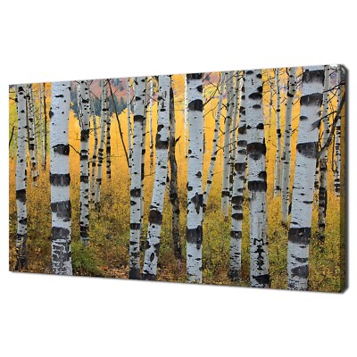 Schöner Herbst gelber Herbst in Aspen Grove Wald Bäume moderner Leinwanddruck Kunst