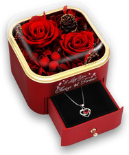 Preserved Rose Gift Box with Necklace, Valentine  S Day Gift for Her, Meaningful