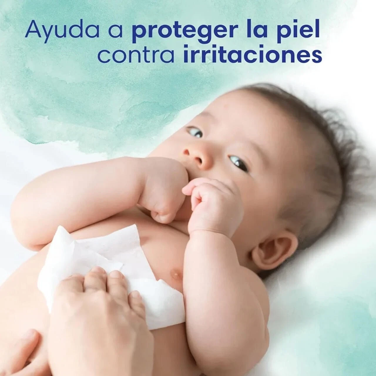 Imagen 5 de 8