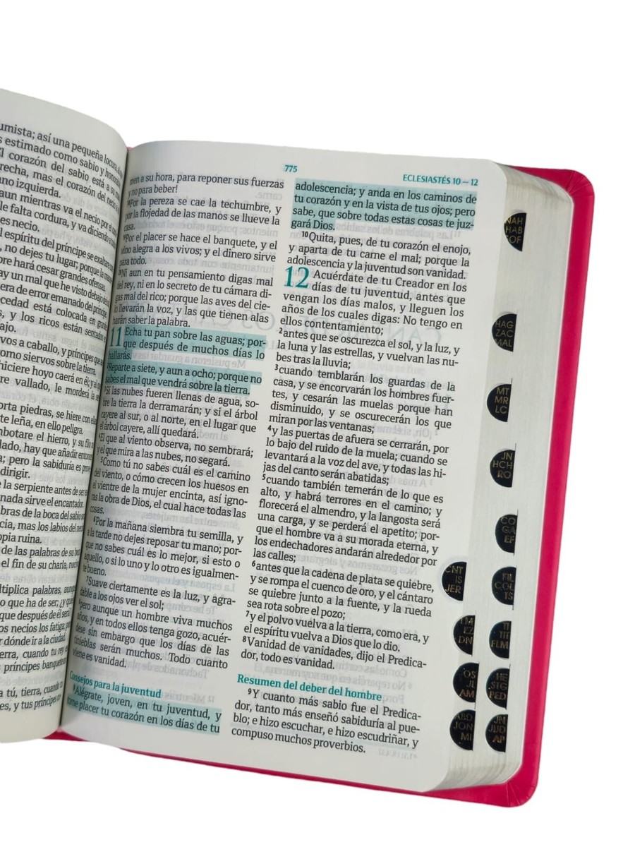 Biblia Reina-Valera 196O Fuente De Bendiciones Rosa Con Índice