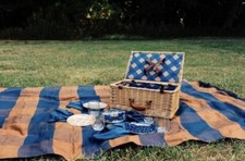 Matilda Jane Just Imagine Windowpane Plaid Picnic Blanket Blue NWT 54" x 79" NIB