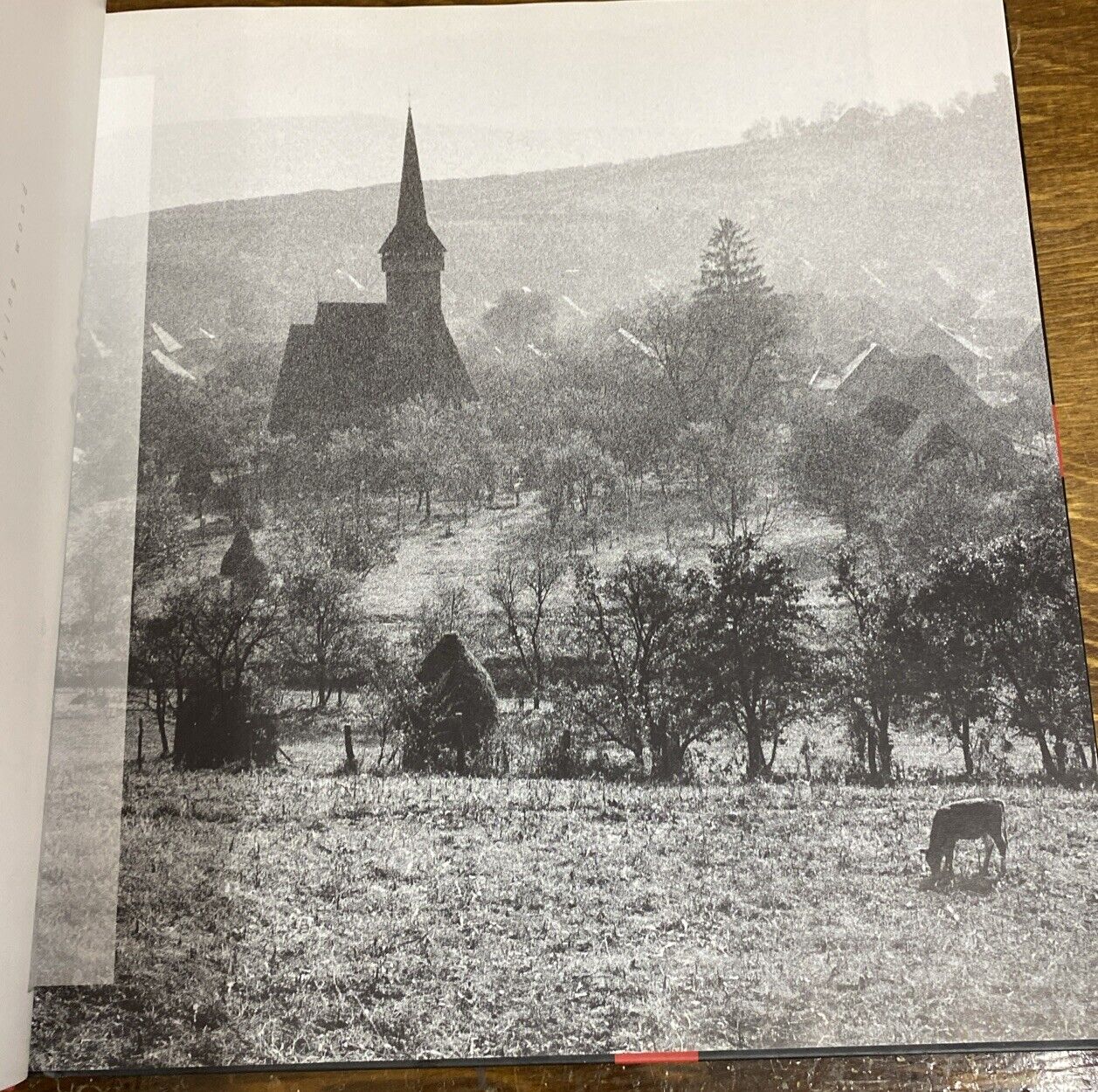 Picture 5 of 6