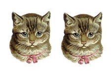 Temporary Tattoo - Set of 2 Cat Head approx. 1.5" each 