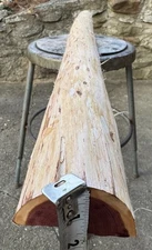 55” Eastern Red Cedar Bow Stave/ Bow Making Wood/ Bow Staves/ Juniper Stave