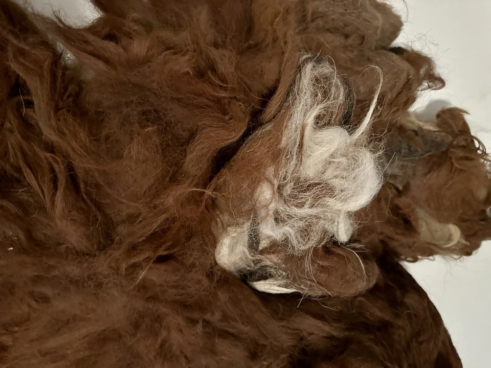 3 Pounds 9.6oz Llama Red Fawn Natural Spinning Fiber (B36) - Image 3 of 4