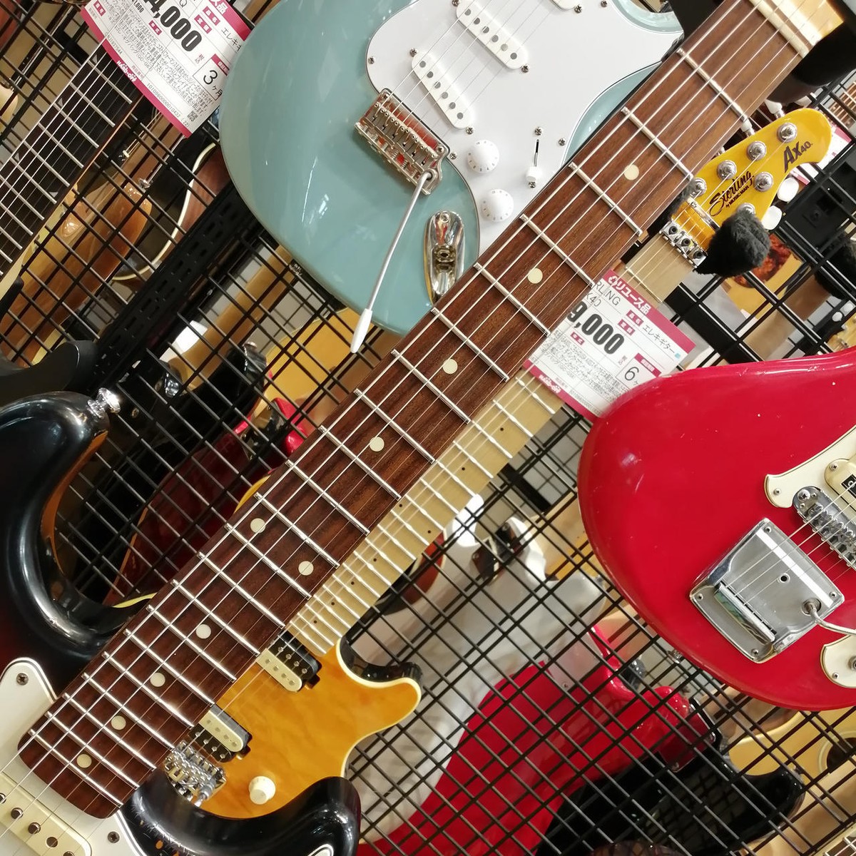 ギター EDWARDS E-SE-128RE Edwards E-SE-128LT/RE 3TS 中古｜ギター買取の東京新宿