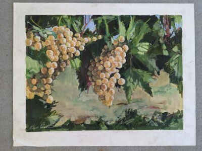 HEIDI COUTU Acrylic/ Oi on Paper PAINTING of Grapes -  100% guaranteed authentic