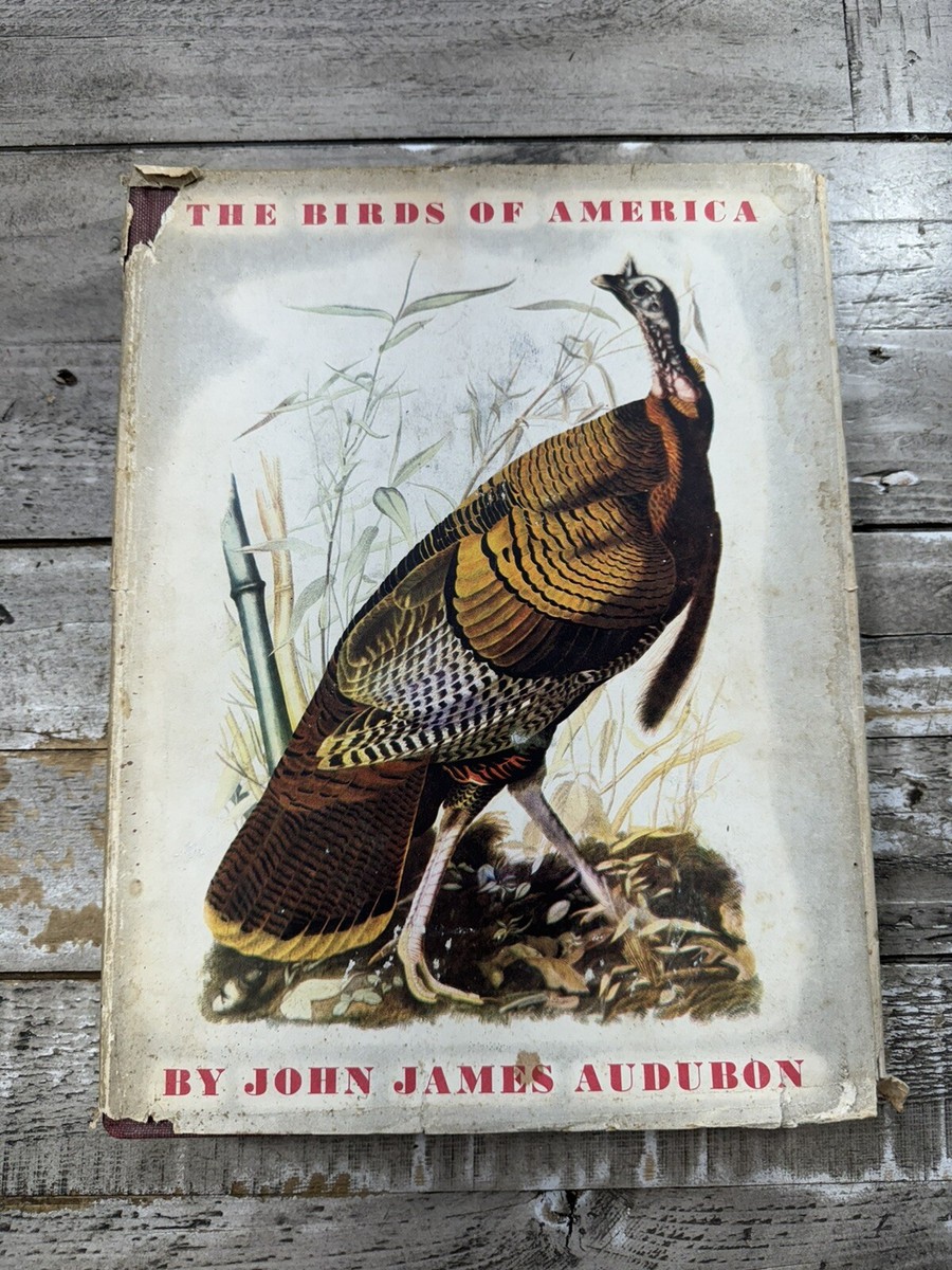 John James Audubon アメリカ鳥類博物画の本 John James Audubon アメリカ鳥類博物画の本