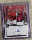 2024 Panini Impeccable JAMES WOOD Rookie Patch On-Card Auto 26/99 Nationals