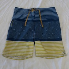 Patagonia Shorts Trunks Adult Size 31 Striped Swim Bathing Suit Board Mens