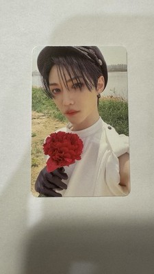 stray kids photocard -Felix Maxident