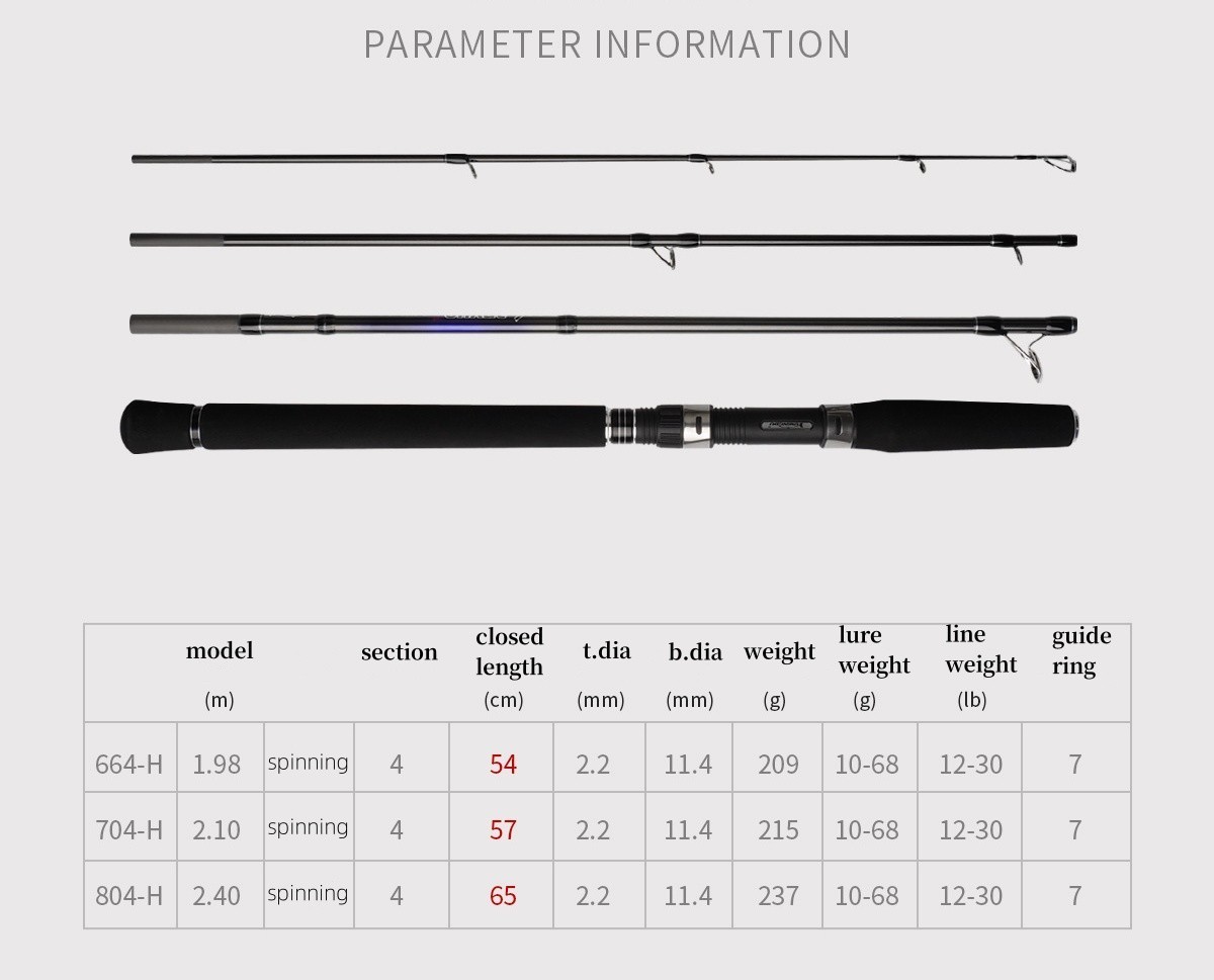 Portable Pole