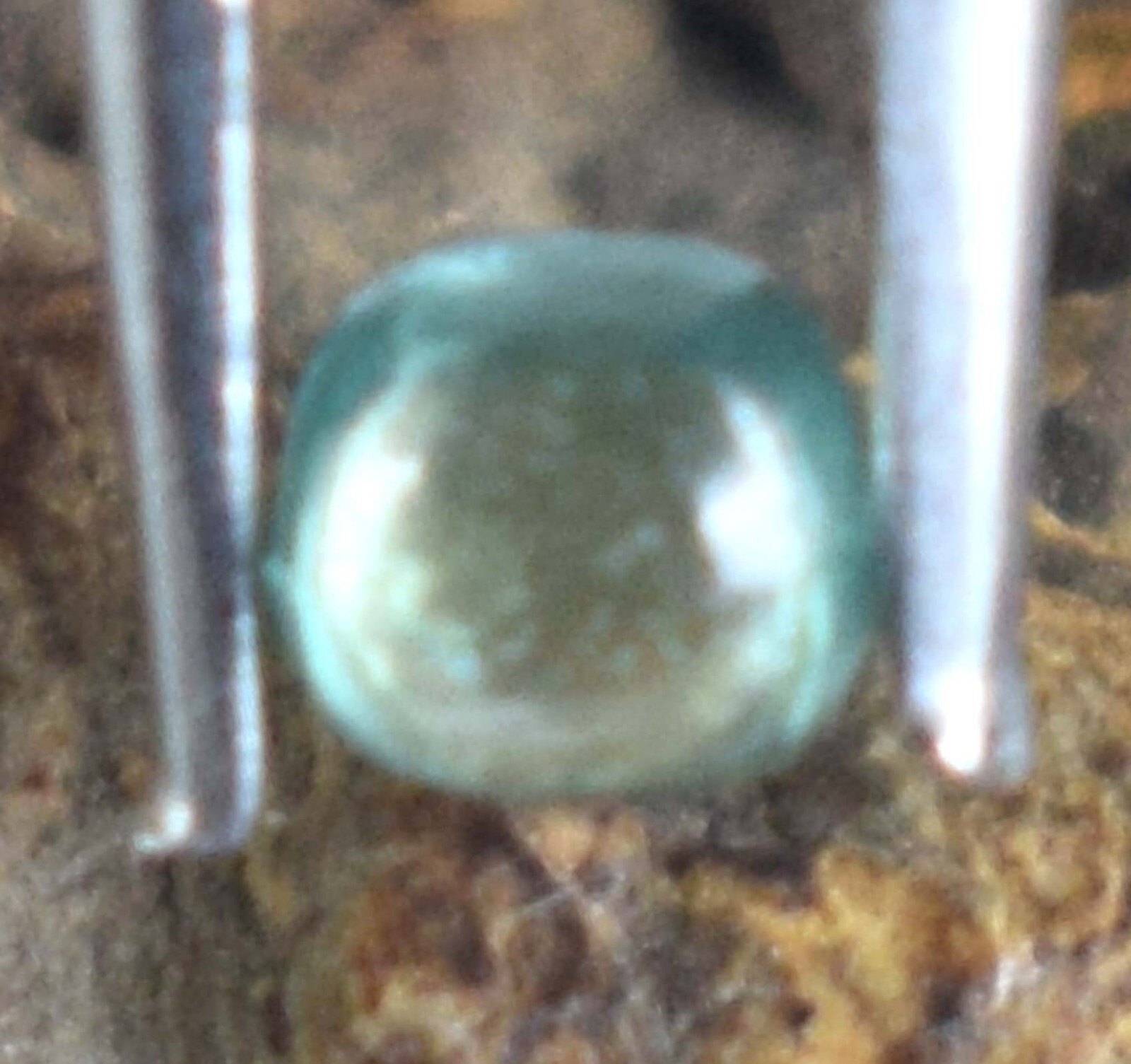 Picture 8 of 10