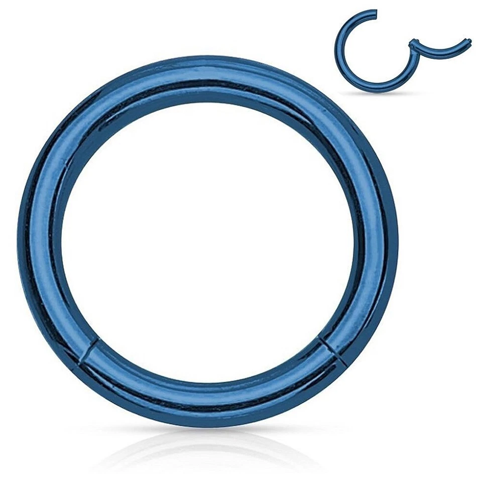 Paquete de 4 anillos de acero inoxidable con segmentos de clicker con bisagras calibre 16 piercings de nariz Foto 3 de 4